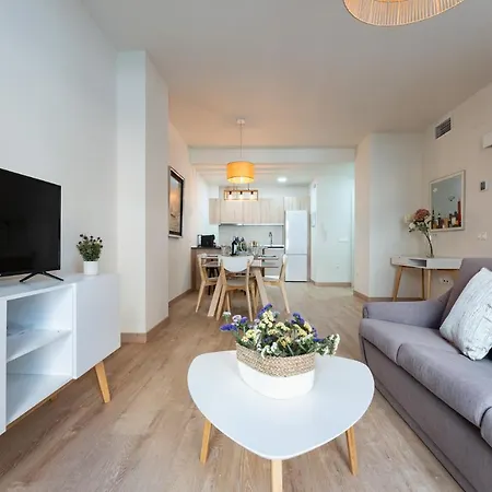 Malagasuite Comfortable 1 Apartment Malaga